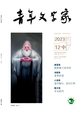 《青年文学家》