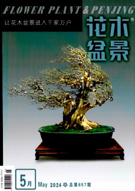 《花木盆景》