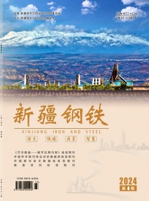 《新疆钢铁》